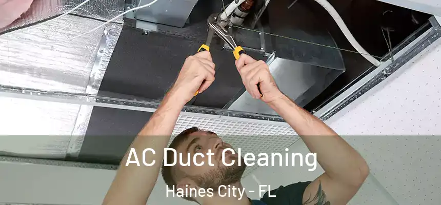  AC Duct Cleaning Haines City - FL