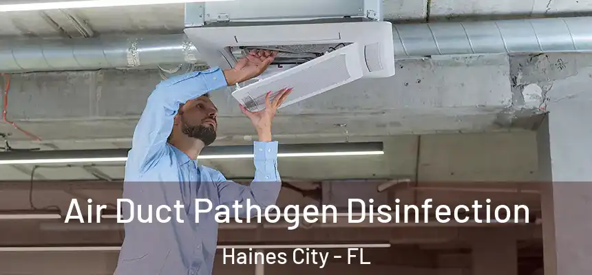 Air Duct Pathogen Disinfection Haines City - FL