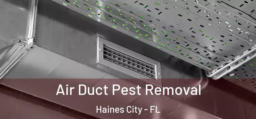  Air Duct Pest Removal Haines City - FL