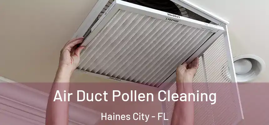  Air Duct Pollen Cleaning Haines City - FL