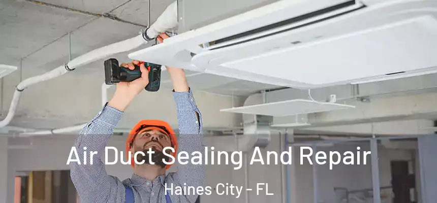  Air Duct Sealing And Repair Haines City - FL