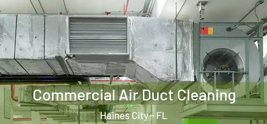  Commercial Air Duct Cleaning Haines City - FL