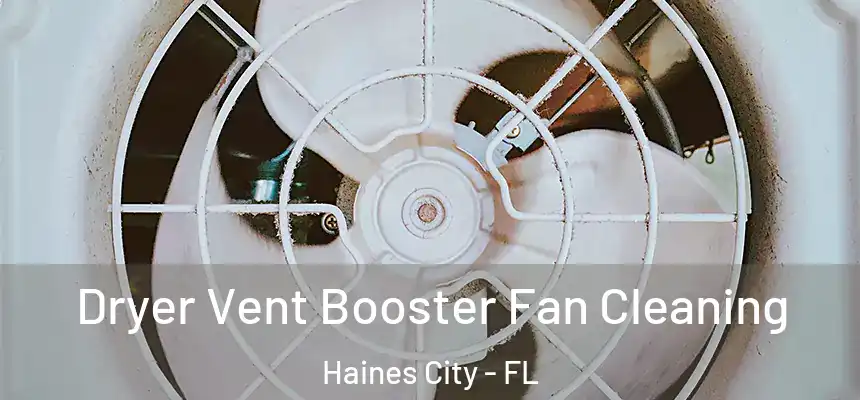  Dryer Vent Booster Fan Cleaning Haines City - FL