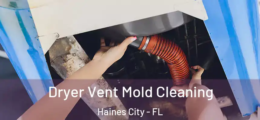 Dryer Vent Mold Cleaning Haines City - FL