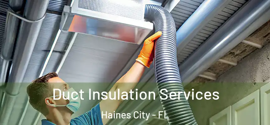  Duct Insulation Services Haines City - FL