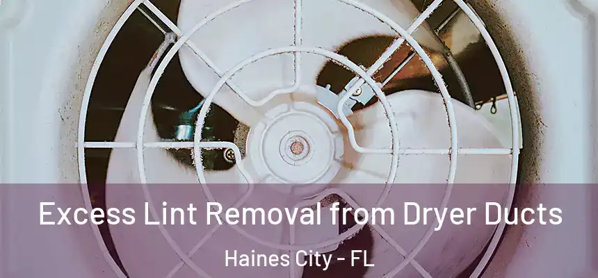  Excess Lint Removal from Dryer Ducts Haines City - FL
