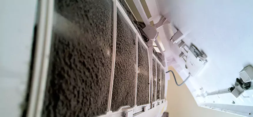 Preventive Air Duct Bacteria Removal in Haines City