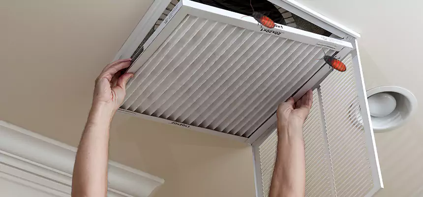 Preventive Cockroach-Proofing for Ducts in Haines City