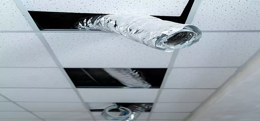 Affordable HVAC Sanitizing After Pest Removal in Haines City