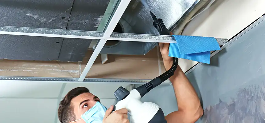 Our Air Duct Rodent Removal Services in Haines City, FL