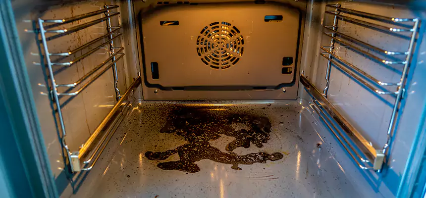 Our Dryer Vent Mold Cleaning Services in Haines City, FL