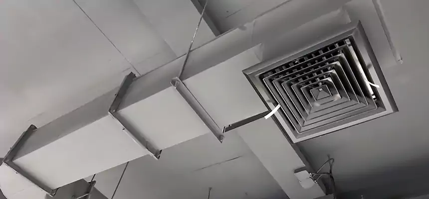 Our Pest Removal From Ducts Services in Haines City, FL