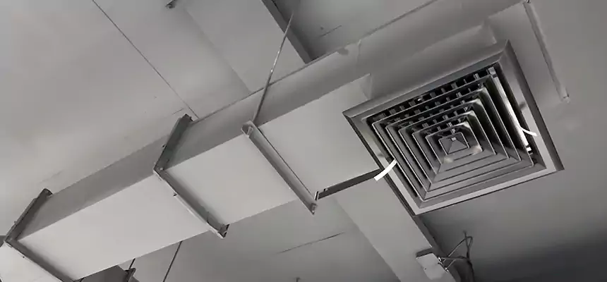 Our Rodent Droppings In Vents Services in Haines City, FL