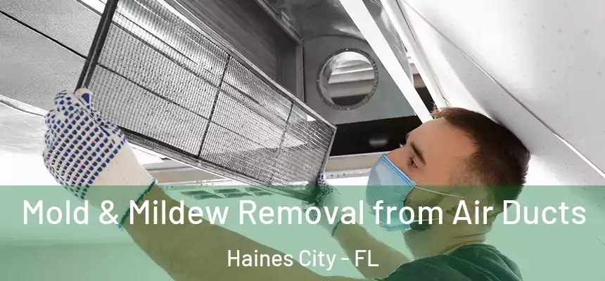  Mold & Mildew Removal from Air Ducts Haines City - FL