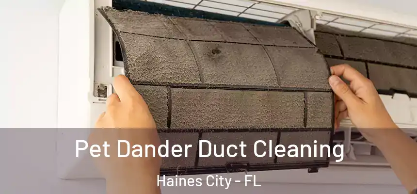  Pet Dander Duct Cleaning Haines City - FL