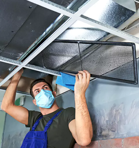 About Air Duct Bacteria Removal in Haines City