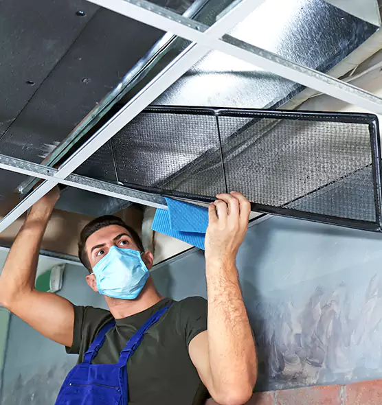 Professional Air Duct Pollen Cleaning in Haines City, FL