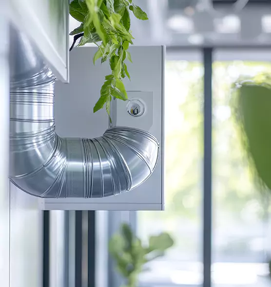 Professional Eco-Friendly Duct Cleaning Services in Haines City, FL