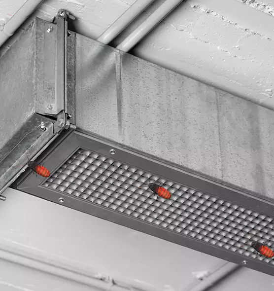 Affordable Insect Removal from Air Ducts in Haines City, FL