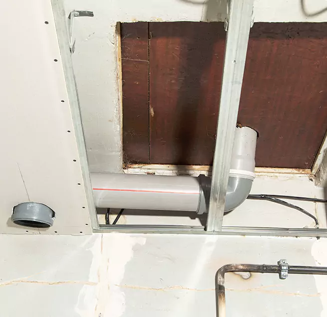 Why Homeowners & Businesses Trust Us in Haines City, FL?