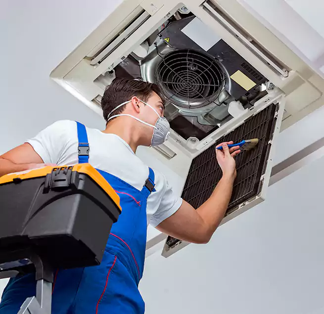 Why Homeowners & Businesses Trust Us in Haines City, FL