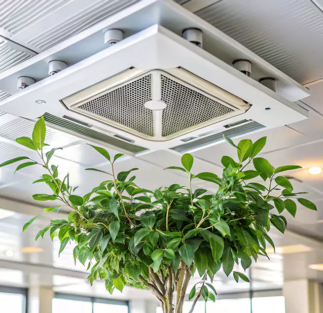 Why Homeowners & Businesses Trust Us in Haines City, FL