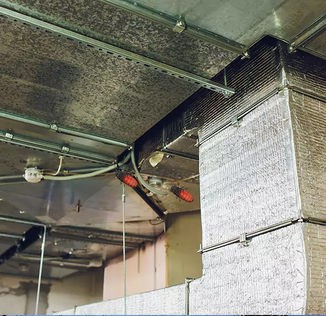 Why Homeowners & Businesses Trust Us Haines City, FL?