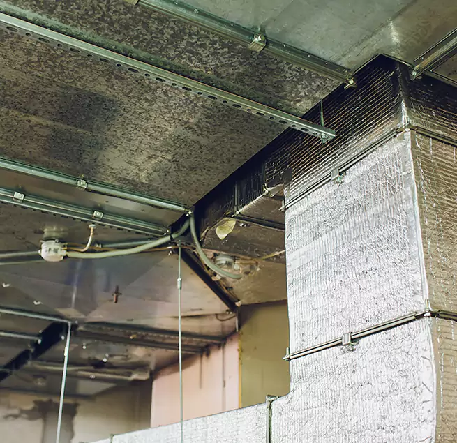 Why Homeowners & Businesses Trust Us in Haines City, FL?