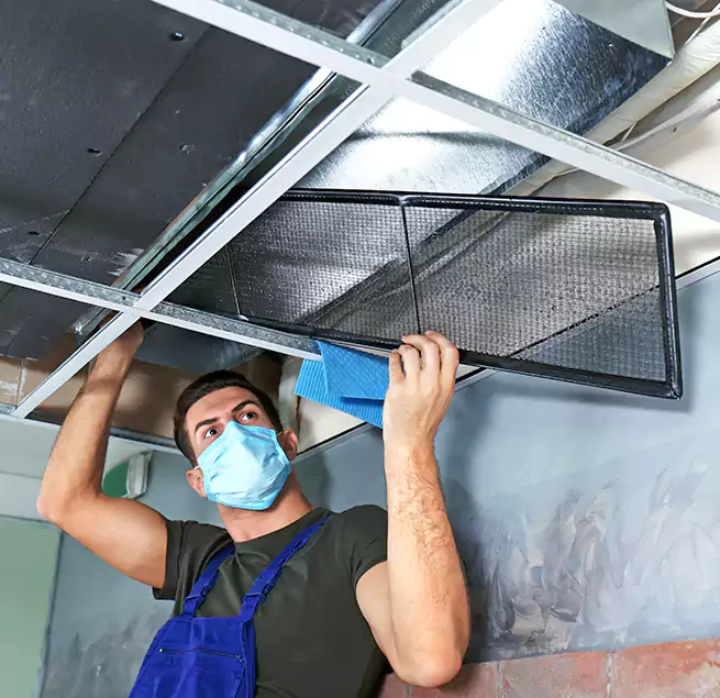 Why Homeowners Businesses Trust Us in Haines City, FL