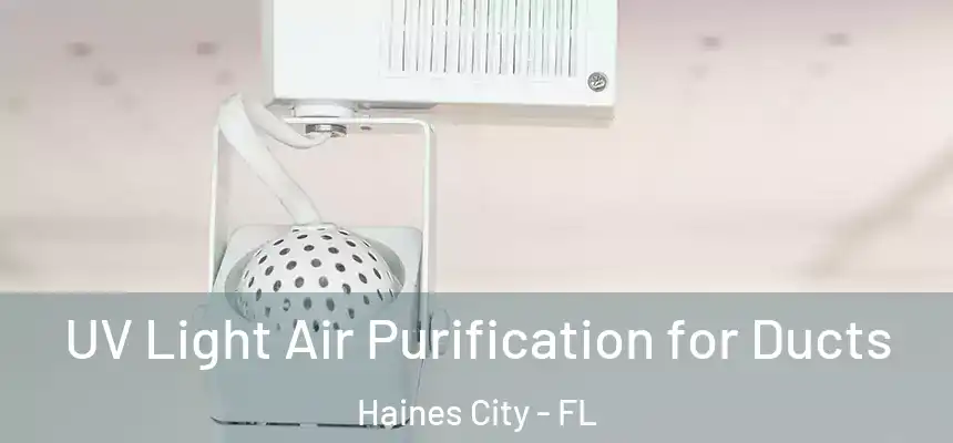  UV Light Air Purification for Ducts Haines City - FL