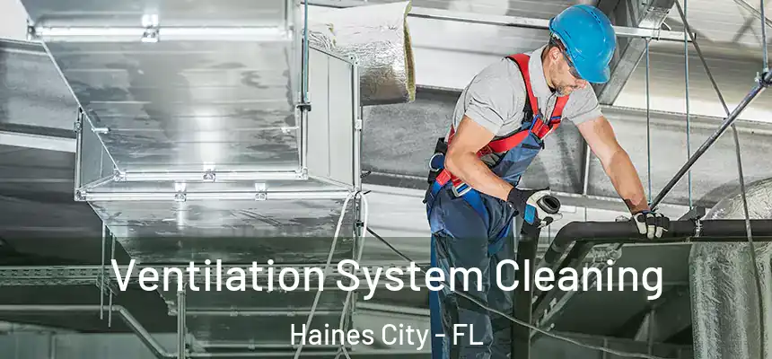  Ventilation System Cleaning Haines City - FL
